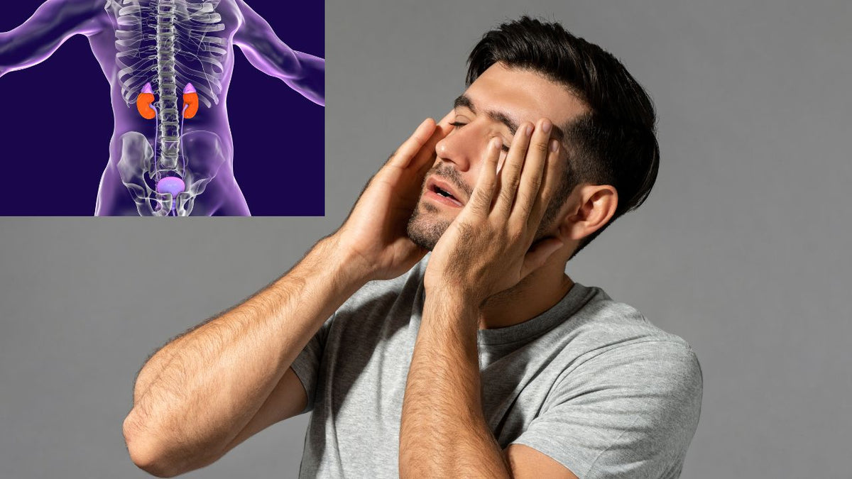 Adrenal Fatigue