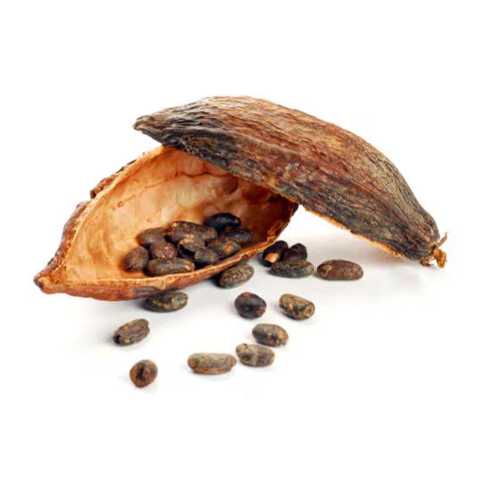 Kakao (Bio)